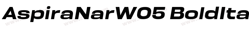AspiraNarW05 BoldIta字体转换
